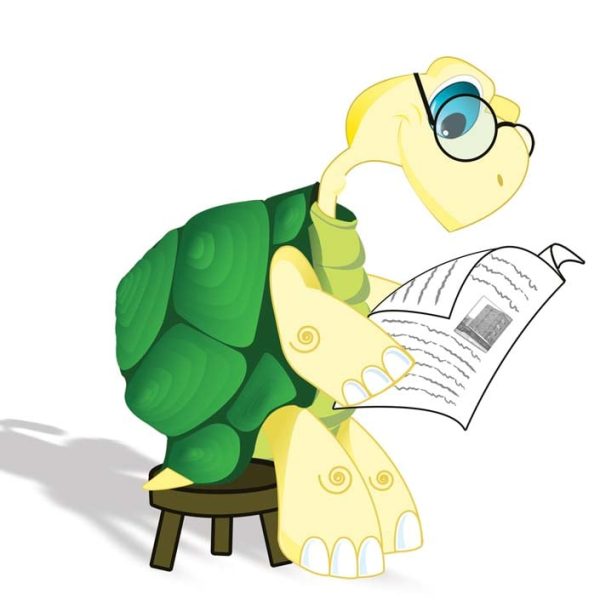 Nadia Zakeri - Illustration 02